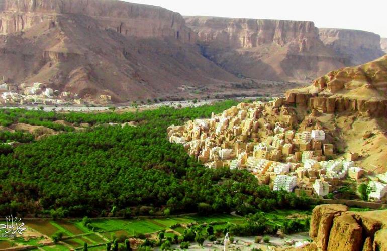 اليمن: العطش يهدد بقاء ملايين أشجار النخيل في وادي حجر بحضرموت